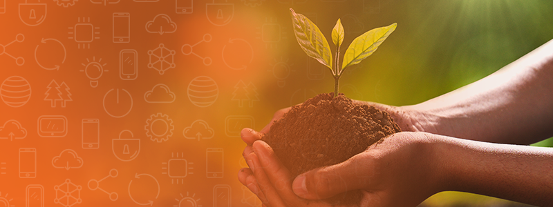 Pair of hands holding fresh topsoil with a seedling sprouting out from it