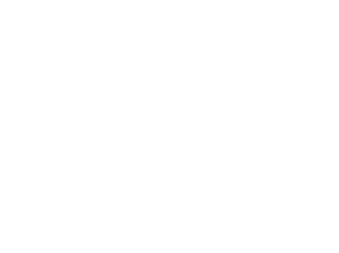 APM logo