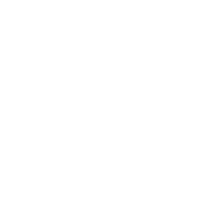 Icon-Europe