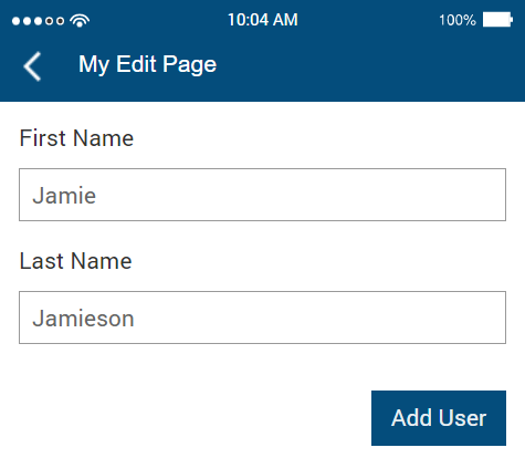 Image of the record editing page with a new record