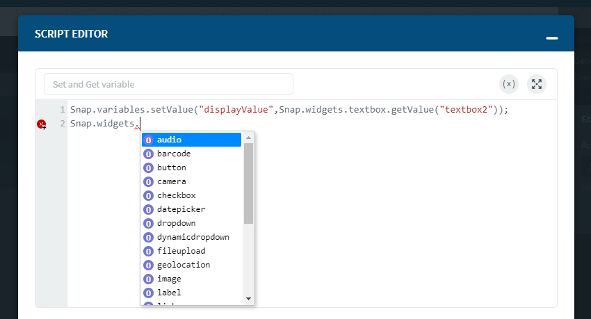 Snap JavaScript Editor - App Fields
