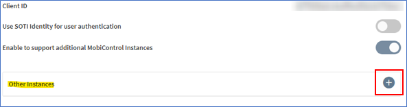 Adding instance details for non-primary MobiControl
