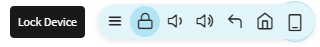 Lock device button