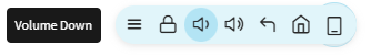 Volume down button